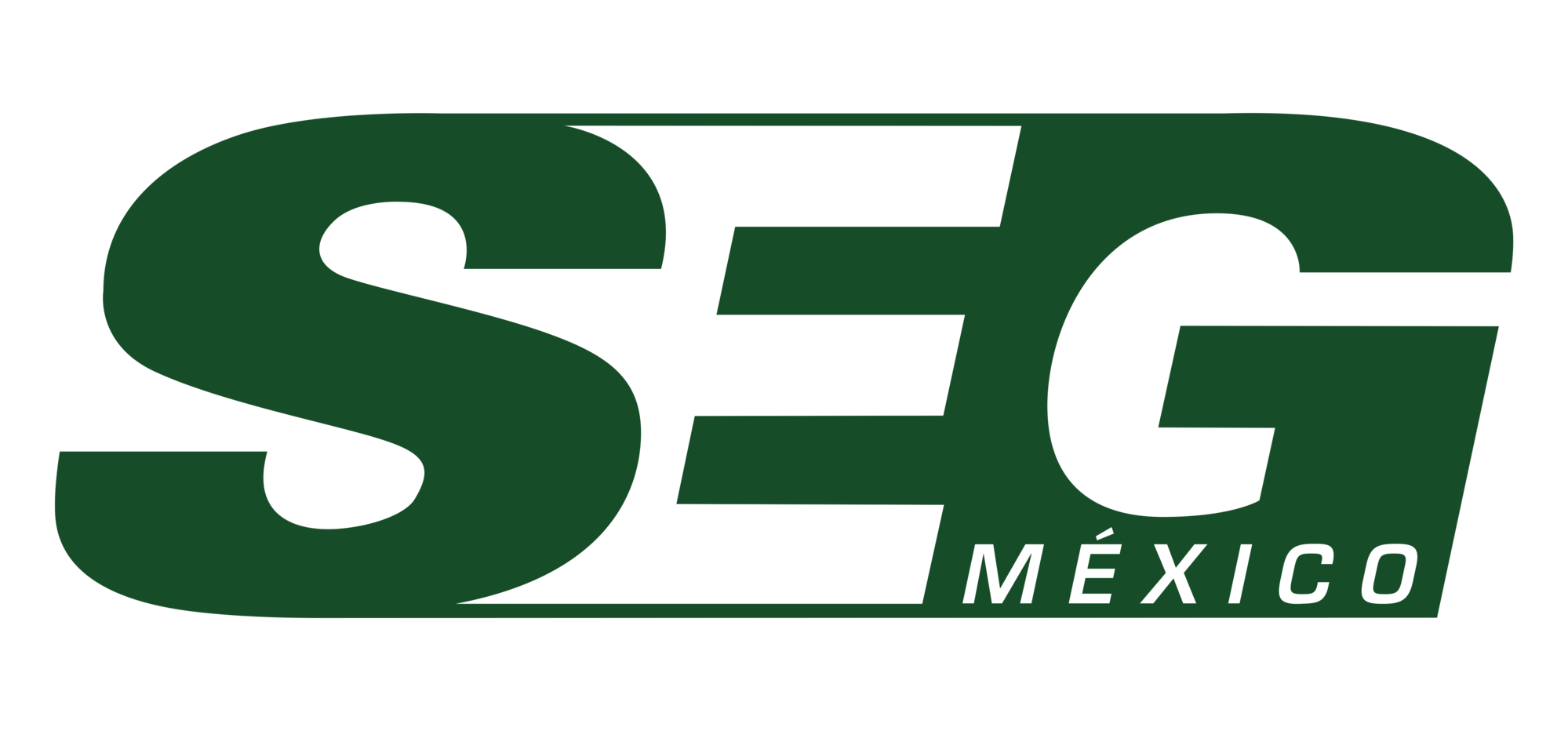 Logo de marca partner 13